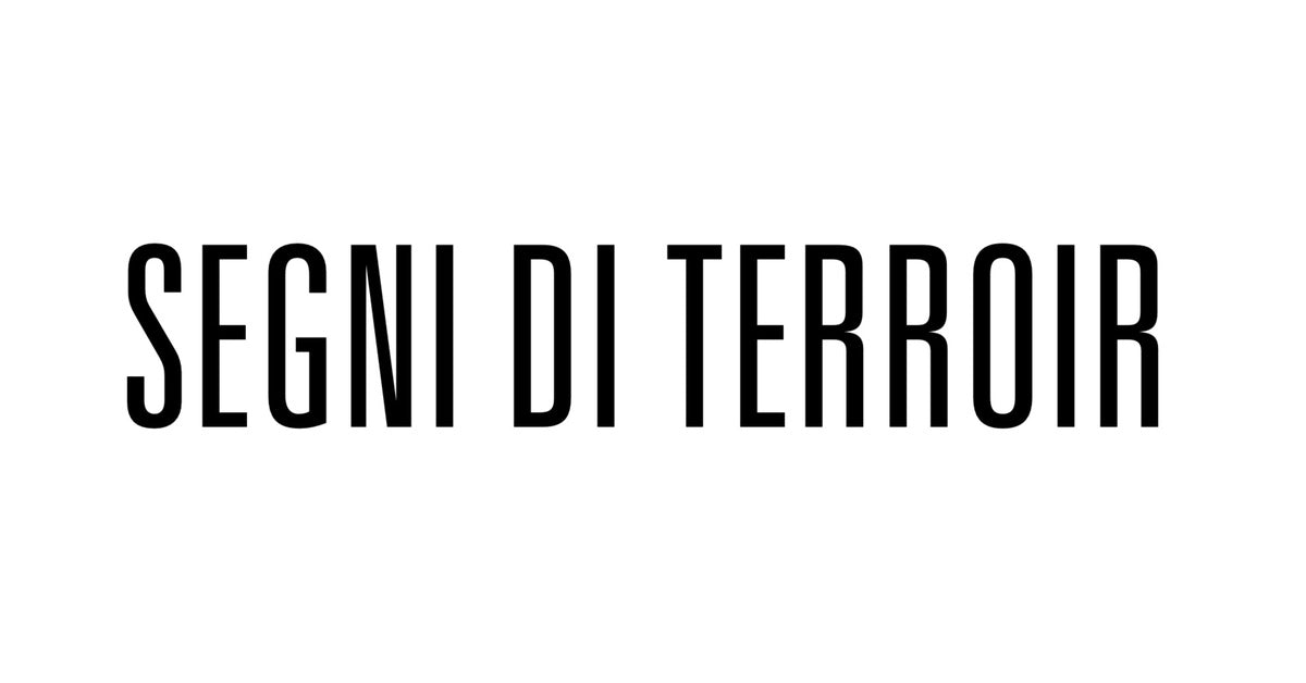 Segni di Terroir - di Matteo Pala — foto 5