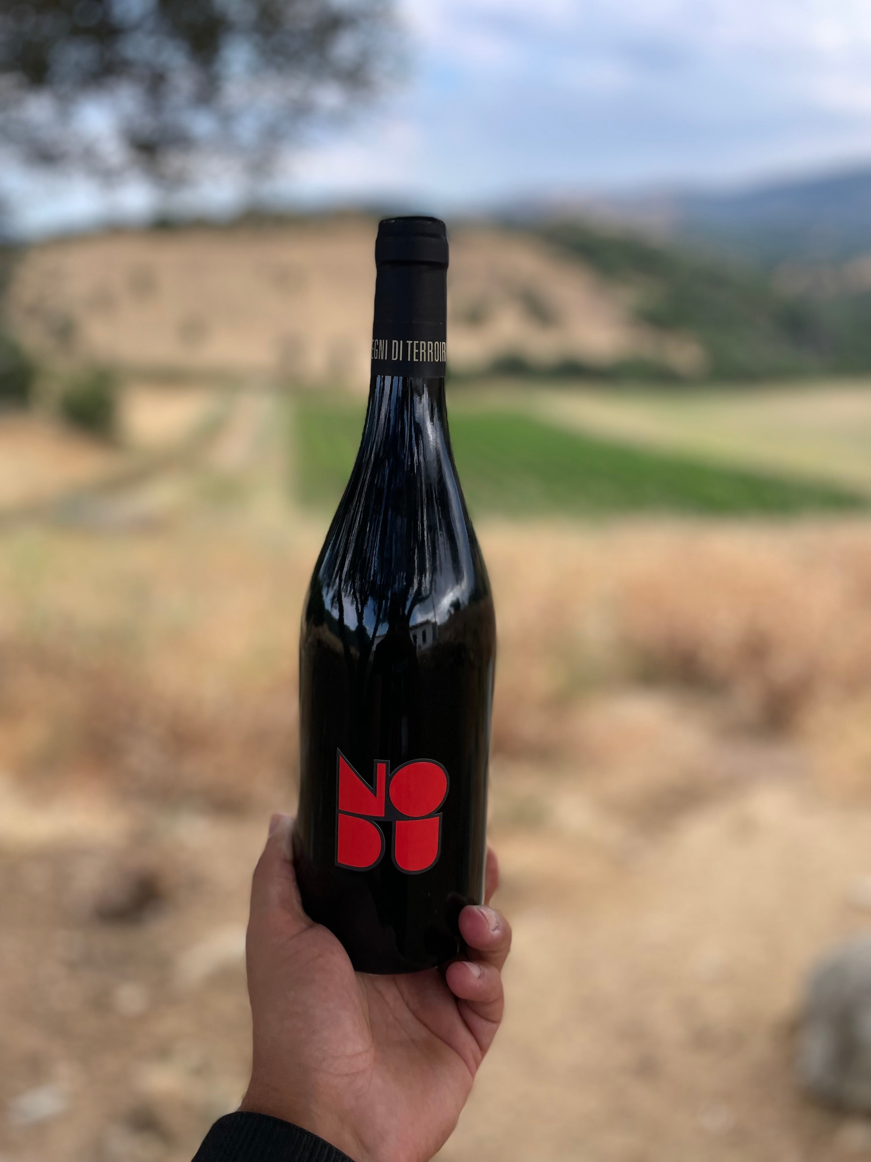 NODU-05  Rosso IGT 2024